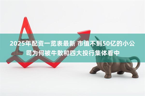 2025年配资一览表最新 市值不到50亿的小公司为何被牛散和四大投行集体看中